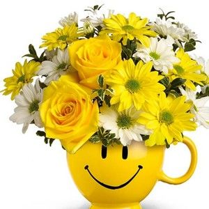 Meet your Posher, Seva